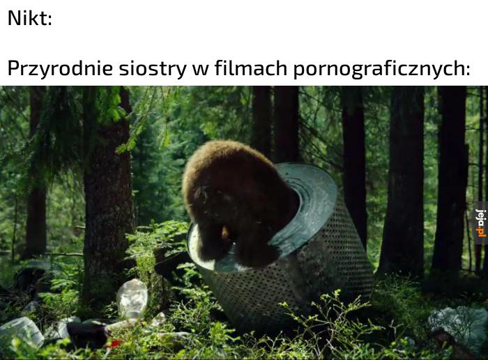 Mają tendencję do utykania w różnych miejscach