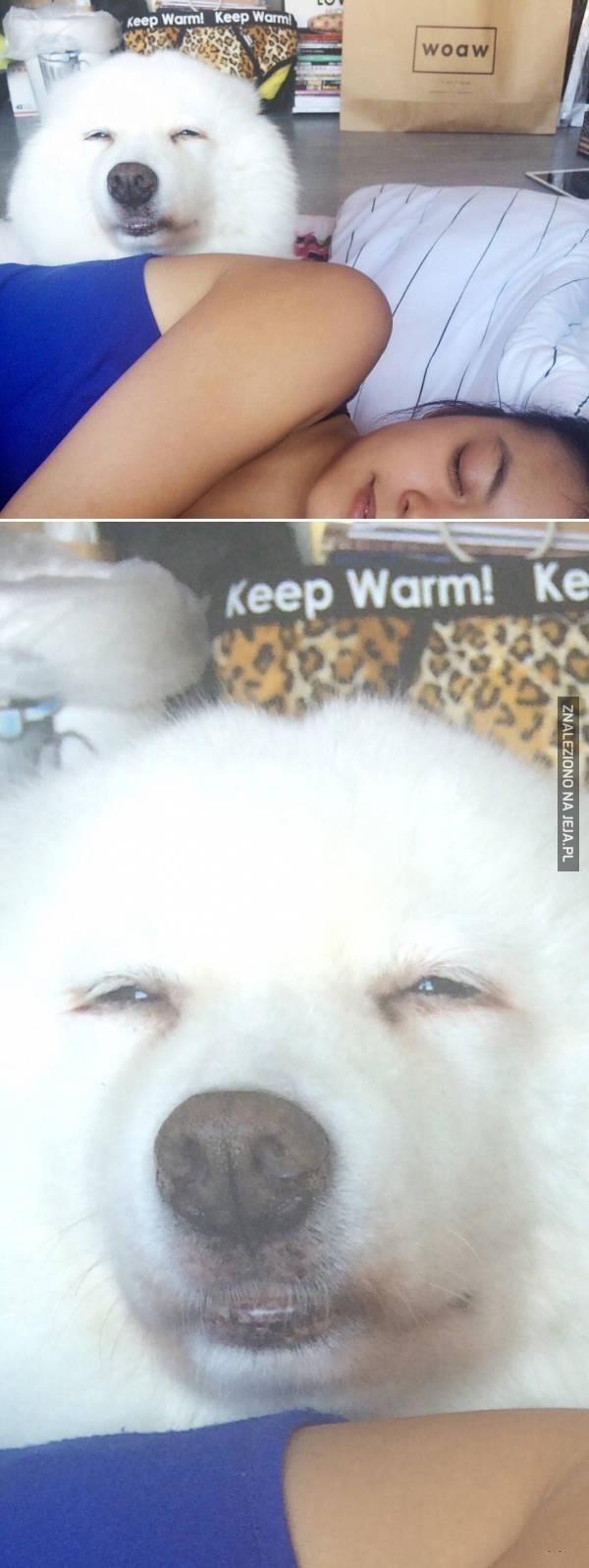 Ooo taaak