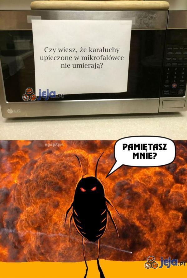 Niezniszczalne stworzenia