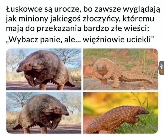 Urocze stworzenia