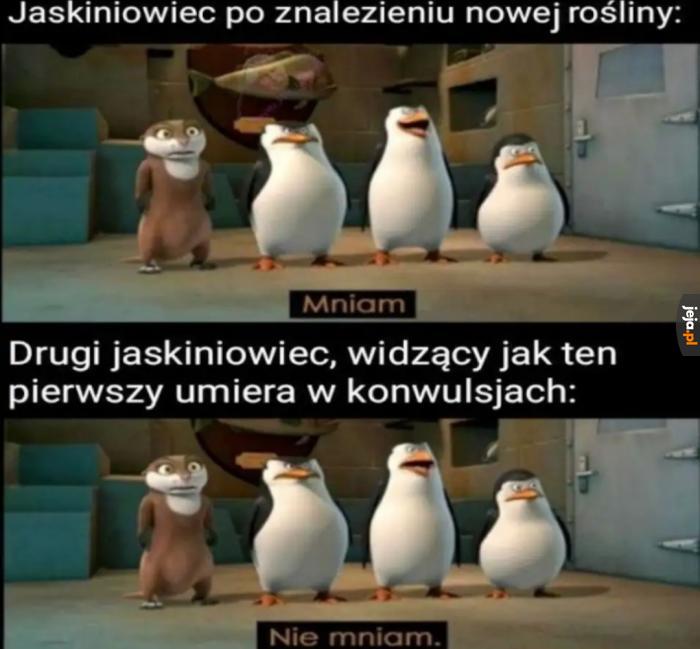 Metodą prób i błędów...