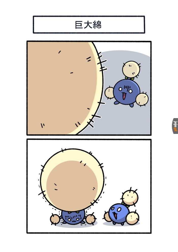 Mem