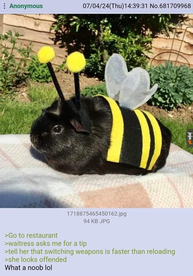 Chciała tipa to ma