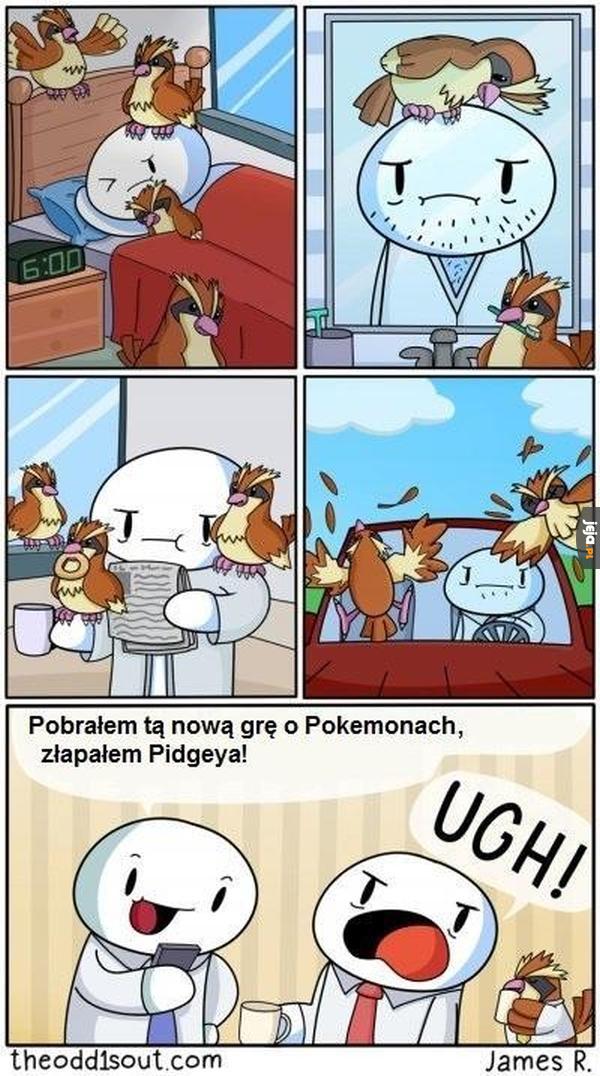 Pidgey...