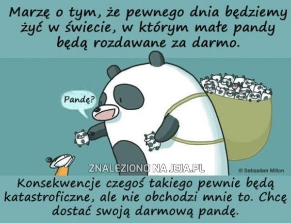 Panda dla każdego!