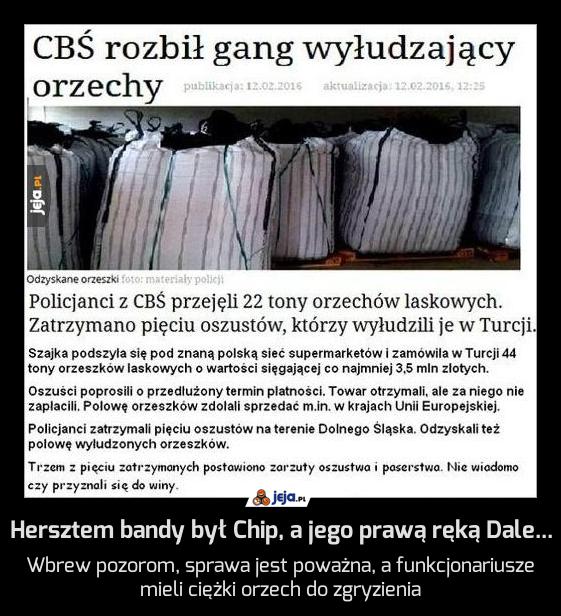 Hersztem bandy był Chip, a jego prawą ręką Dale...