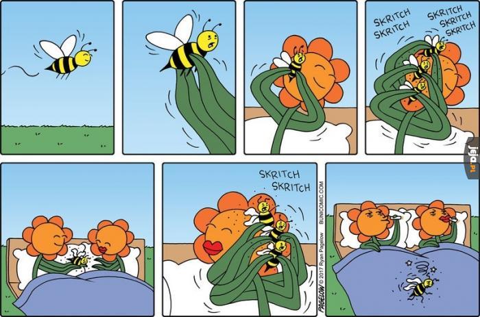 Pszczoły od lat są wykorzystywane przez niewyżyte kwiaty