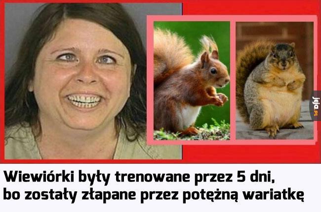 To był prawdziwy koszmar