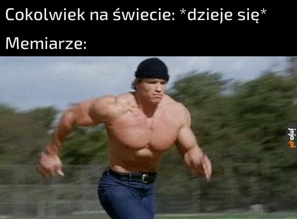 Szybsi niż Usain Bolt i Struś Pędziwiatr razem wzięci