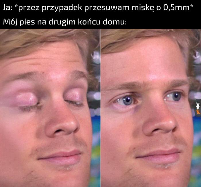 Wzywałaś mnie, moja pani?