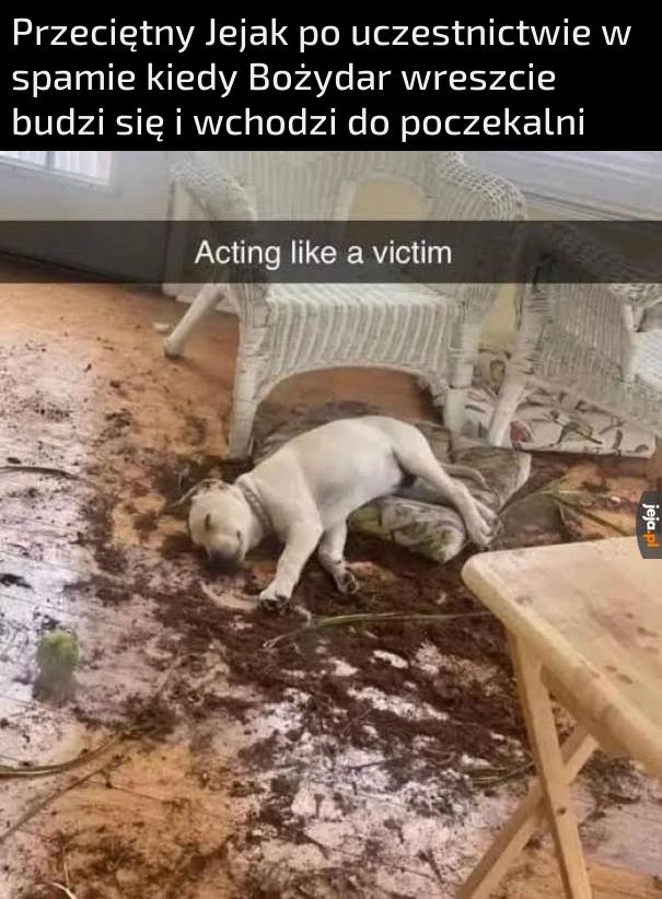 Udaje niewiniątko