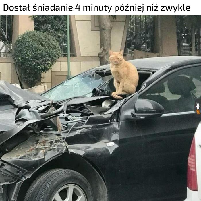 Czyli zasłużona kara