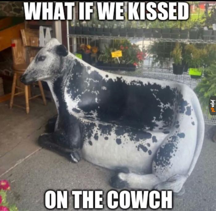 Ja i kto?