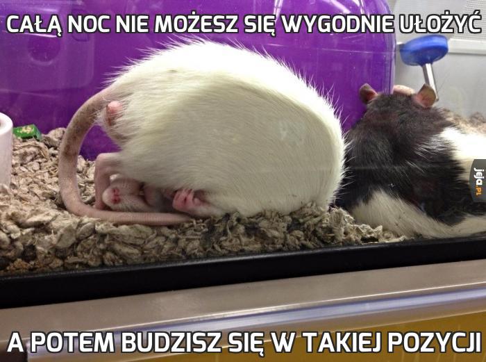 Całą noc nie możesz się wygodnie ułożyć