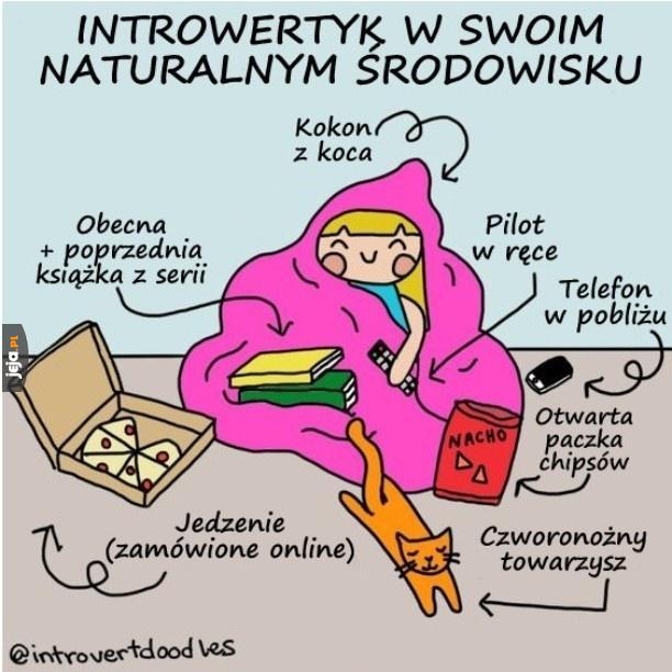 Życie introwertyka