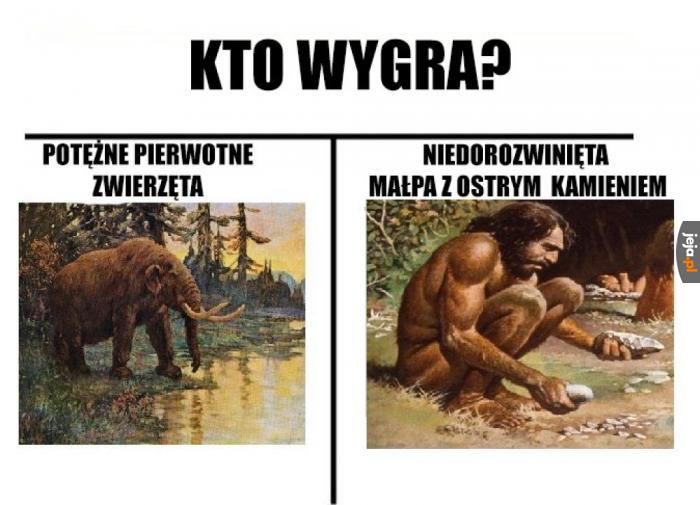 Jak myślicie?