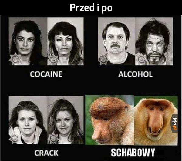 Schabowy działa najlepiej