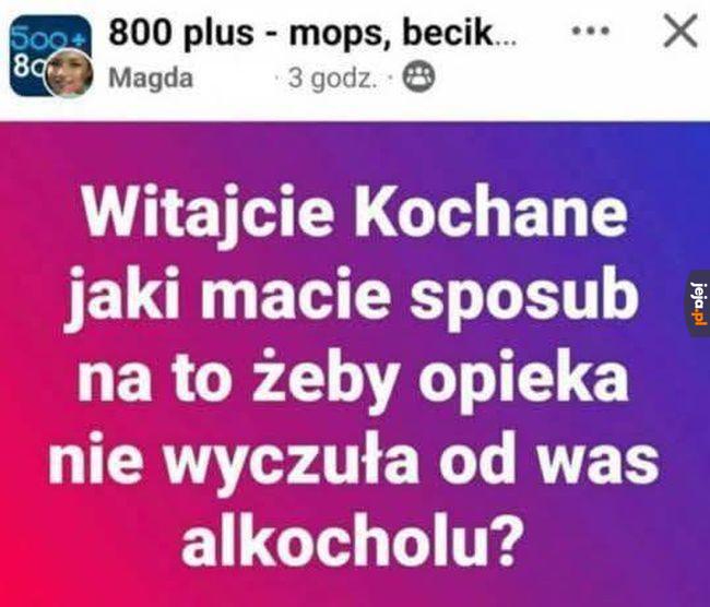 Proszę o protipy