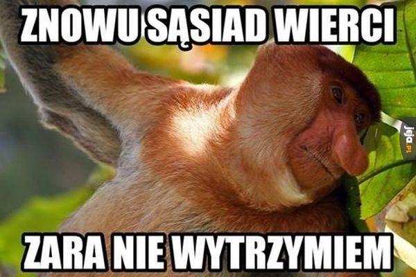 Wredny sąsiad