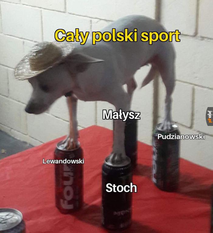 Polski sport w skrócie