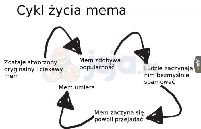 Cykl życia mema