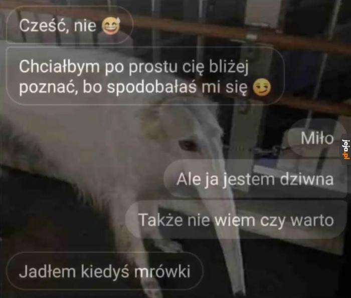 Każdy ma swoje dziwactwa