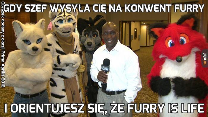 Gdy szef wysyła cię na konwent furry