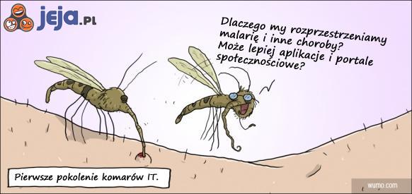 Informatyczne komary
