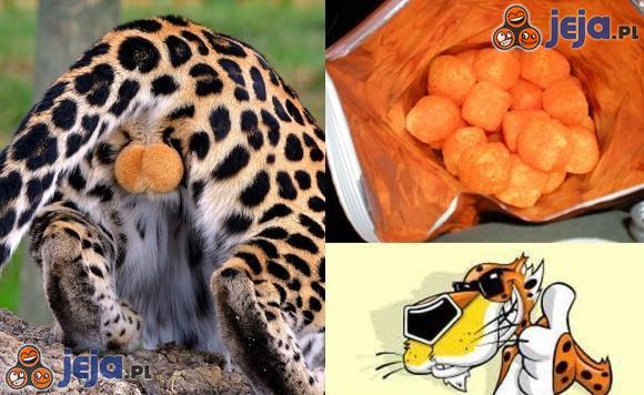 Cheetos - już wiesz co jesz