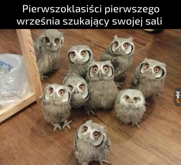 Odwagi moi drodzy, odwagi
