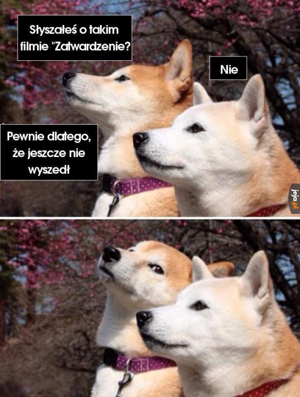 Słyszałeś?