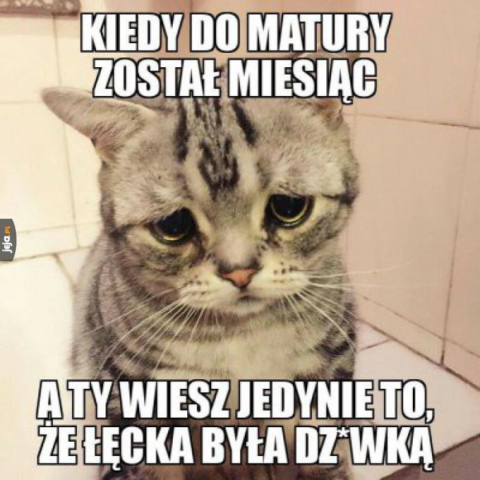 Niedługo matura