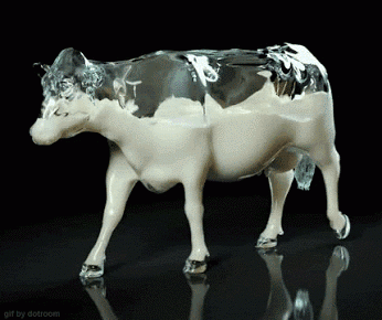 Jak krowa wygląda od środka