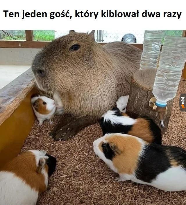 Wyraźnie starszy