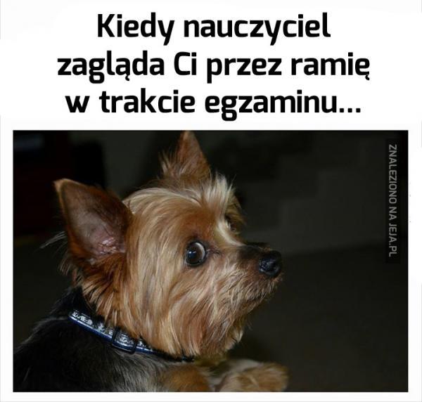 Kiedy nauczyciel zagląda mi przez ramię w trakcie egzaminu