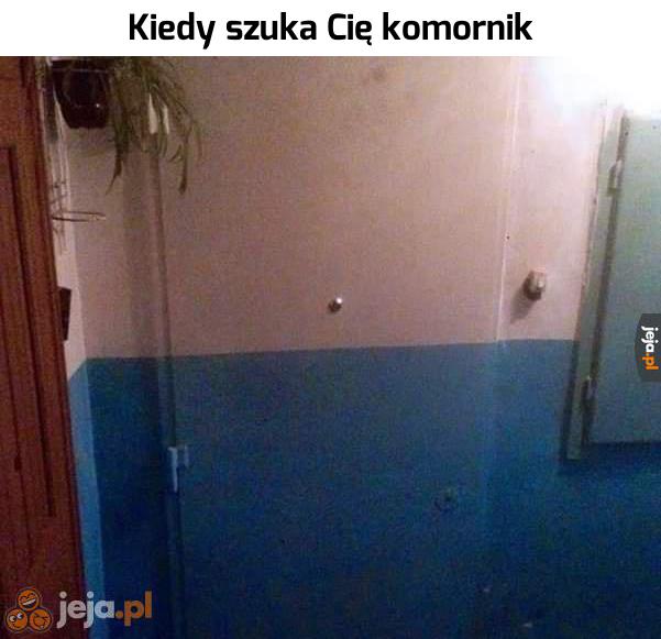 Kamuflaż doskonały