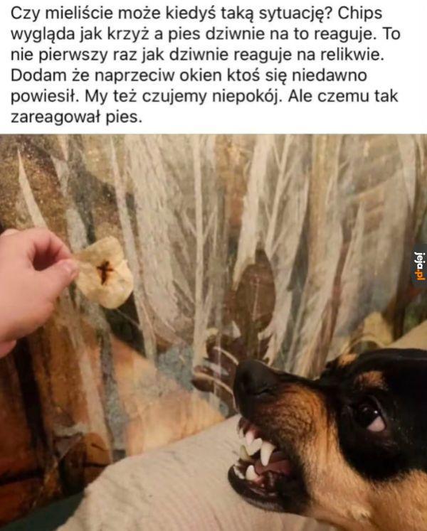 Dzieją się rzeczy niestworzone