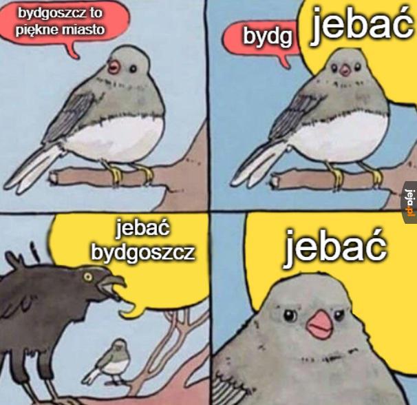 Ale się wkręciło