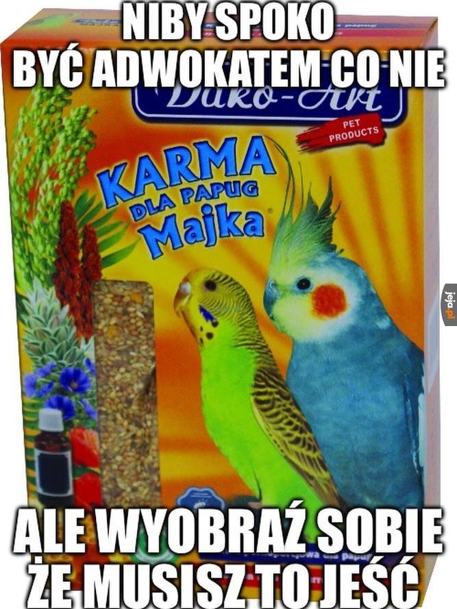 Karma dla papugi