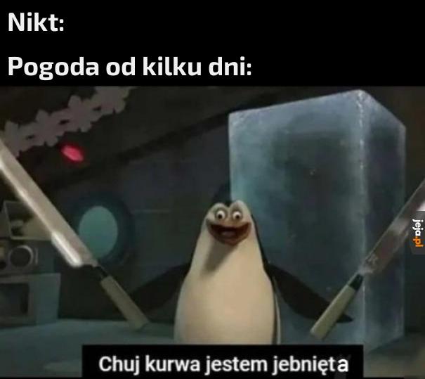 Ja rozumiem deszcz, no ale bez przesady
