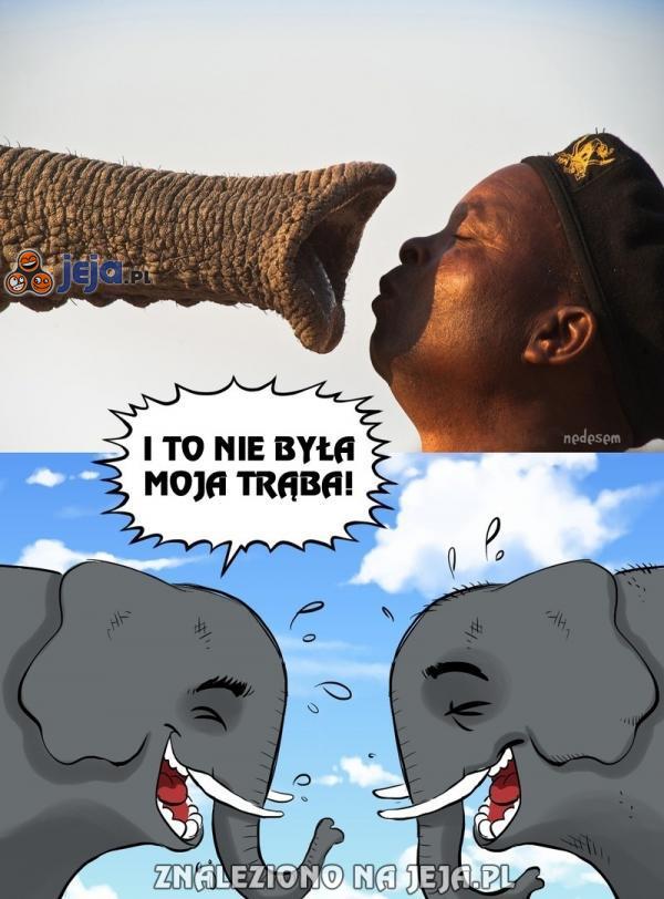 Dowcipne słonie