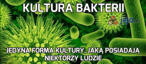 Kultura bakterii