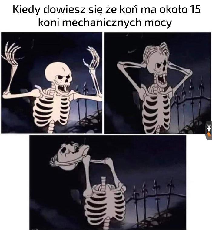 Co za bezsens