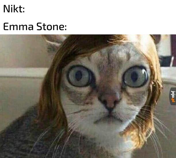 Zdolna jest