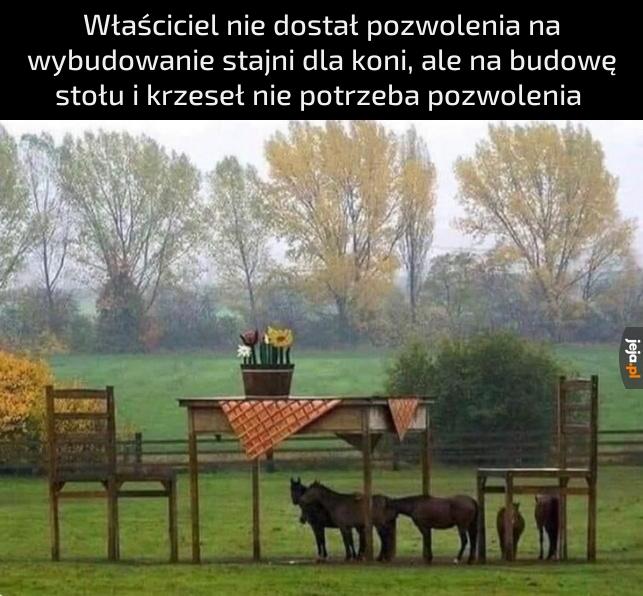 Duży stół