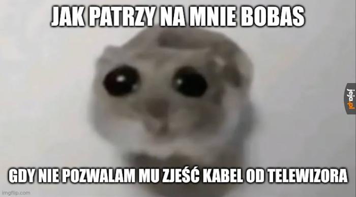 No weź nie bądź taki