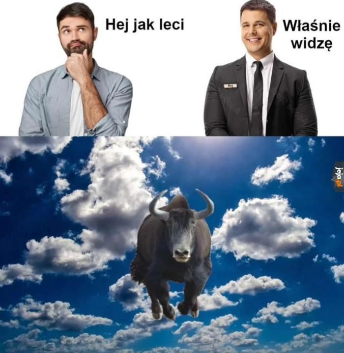Czy to jak? Czy to samolot?