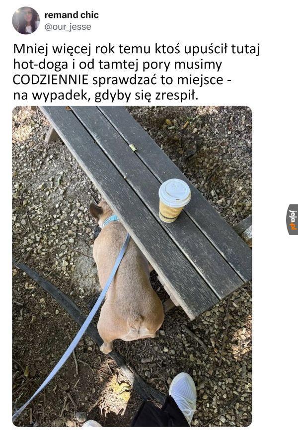 Może dziś powróci bułeczka z paróweczką