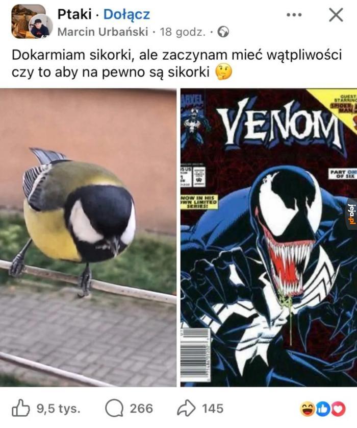 Zawsze wydawały mi się dziwne