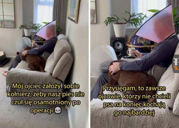 Tata i pies po tygodniu: